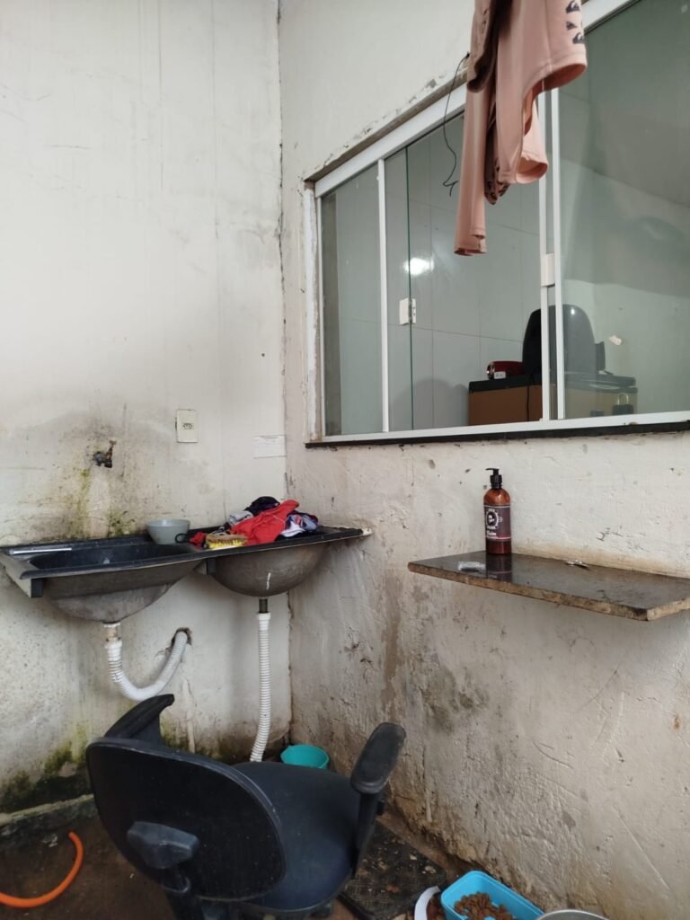 WhatsApp Image 2025-12-19 at 17.59.25