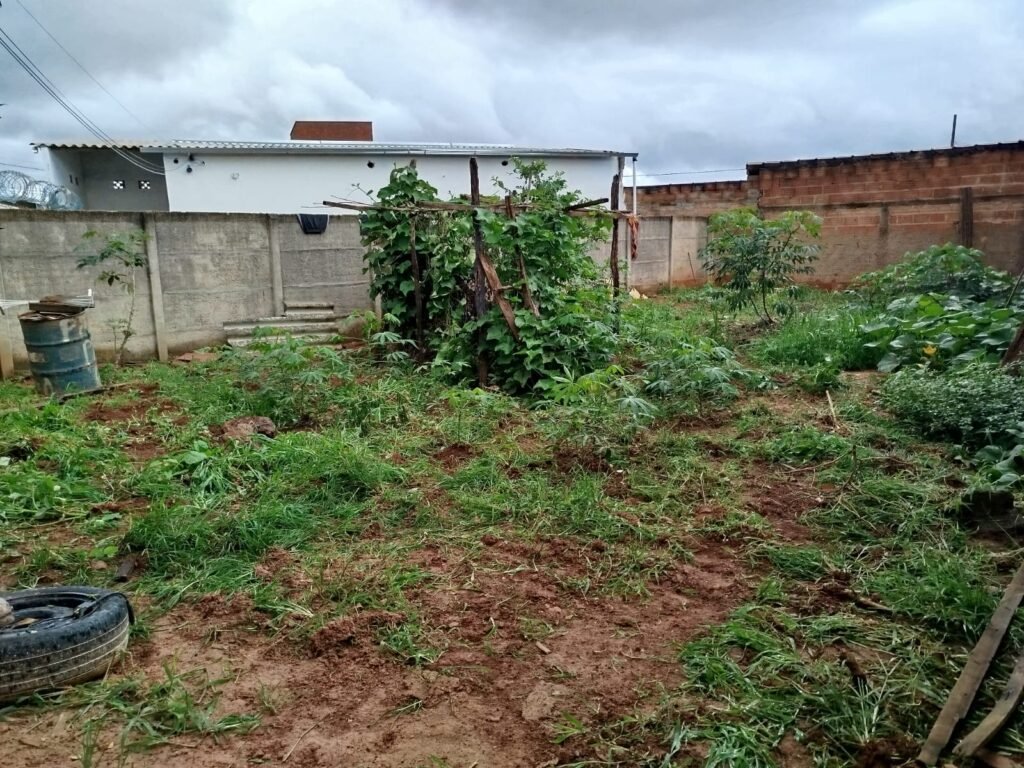 WhatsApp Image 2025-12-19 at 17.59.28 (1)